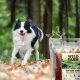 WILD FARM Miękkie stripsy z kaczki 500g przysmak dla psa 4