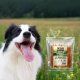 WILD FARM miękkie stripsy z kurczaka 500g przysmak dla psa 5