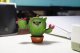 EUGY 3D Cardboard Model Kit - Cactus 8