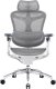 Fotel biurowy Sihoo DORO C300 Pro Mesh White 1