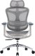 Fotel biurowy Sihoo DORO C300L Mesh White 1