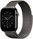 Apple APPLE 46mm Slate Milanese�Loop - M/L 2