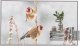 LG OLED Signage | 55EW5P-M | 55 " | Landscape/Portrait | 18/7 | webOS | 600 cd/m² | 8 ms | 178 ° | 178 ° 1