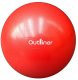 MINI GYM BALL PVC LS3225 25CM 1