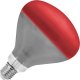 Lampa na podczerwień Rebel R125, 250W, 220-240V 1