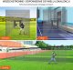 Vevor Siatka do baseballu 21,7m treningowa przenośna z drzwiami PE profesjonalna 5