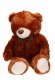 Miś z Brązowy Kokardą 43476 3