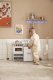 Kids Concept - Kitchen with dishwasher KIDS HUB 4