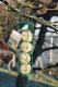 Browning FATBALL FEEDER FOR BIRDS 4 Ø 6,5X25CM 3
