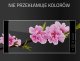 Sony Xperia Xa2 SZKŁO HARTOWANE NA EKRAN 6