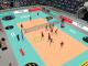 PRO VOLLEYBALL 2 PC 1