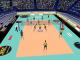 PRO VOLLEYBALL 2 PC 3