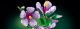 LEGO Botanicals Hibiskus (10372) 3