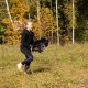 Zestaw Skippi - Hobby Horse Gniady - Derka i nauszniki - mięta i niebieski 6