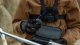 GoPro GOPRO SPORTS KIT (CHESTY + HANDLEBAR MOUNT + CAMERA CASE) 5