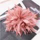 Ecarla Broszka Ozdobna, Spinka Do Włosów 2w1 Pióra Pudrowy Róż BZ207R 2