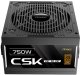 Antec SIGNATURE CSK750DC EC moduł zasilaczy 750 W 20+4 pin ATX ATX 3