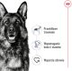 ROYAL CANIN Maxi Adult 15kg 5