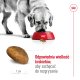 ROYAL CANIN Maxi Adult 15kg 7