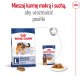 ROYAL CANIN Maxi Adult 15kg 9
