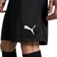 Puma Spodenki męskie Team Goal czarne 705752 03 L 6