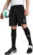 Puma Spodenki męskie Team Goal czarne 705752 03 S 1