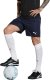 Puma Spodenki męskie Team Goal granatowe 705752 06 S 1