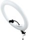 Lampa pierścieniowa 4kom.pl Lampa pierścieniowa LED Ring 45cm 2700-6500K 4