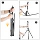 Massa MITOYA MTYF200 Statyw studyjny do oświetlenia 185cm głowica 16mm gwint 1/4'' 3