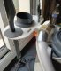 Organizer uchwyt na akcesoria i pokrywę Thermomix TM6 10
