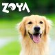 Zoya Jeleń – puszka mokra karma dla psów 400g 3