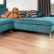 Vileda Pet Pro Wkład do szczotki do sierści i włosów Always Clean 5
