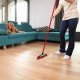 Vileda Pet Pro Wkład do szczotki do sierści i włosów Always Clean 10