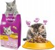 WHISKAS Sucha Kurczak 14kg 13