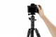Statyw Fotopro Statyw A5i z głowicą kulową FPH-55QS 242