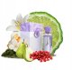 Al Wataniah Al Wataniah Arya EDP W 100 ml 3