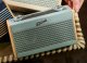 Roberts Radio Rambler Uno Duck Egg Blue 6