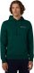 Champion Bluza męska Hooded Sweatshirt zielona 221790 GS584 S 1