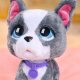 Hasbro *****FRF Buldog francuski na smyczy 81617 2