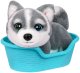 Little Live Pets Moose Toys My Really Real Puppy Mini's - Aurora Husky 4