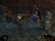 The Elder Scrolls III: Morrowind - Game Of The Year Edition PC, wersja cyfrowa 6