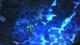 Diablo III PC, wersja cyfrowa 10