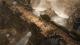 Diablo III PC, wersja cyfrowa 2