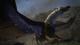 Dragon's Dogma: Dark Arisen PC, wersja cyfrowa 2