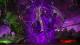 Marvel vs. Capcom Infinite PC, wersja cyfrowa 6