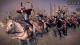 Total War: Rome II - Nomadic Tribes Culture Pack PC, wersja cyfrowa 6