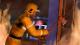 The Sims 3: Kariera PC, wersja cyfrowa 12