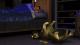 The Sims 3: Zwierzaki PC, wersja cyfrowa 4