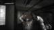 Condemned: Criminal Origins PC, wersja cyfrowa 1