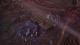 Torment: Tides of Numenera PC, wersja cyfrowa 11